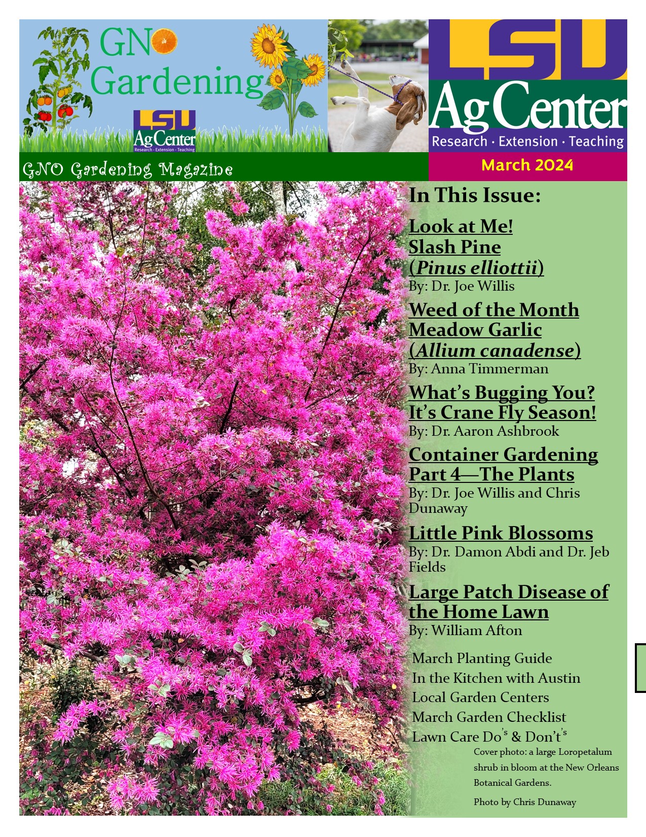 March 2024 cover 1.jpg thumbnail